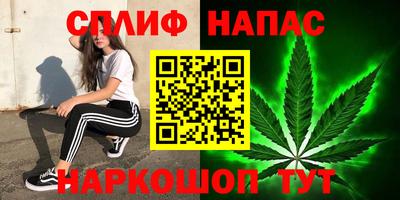 соль ск Тара