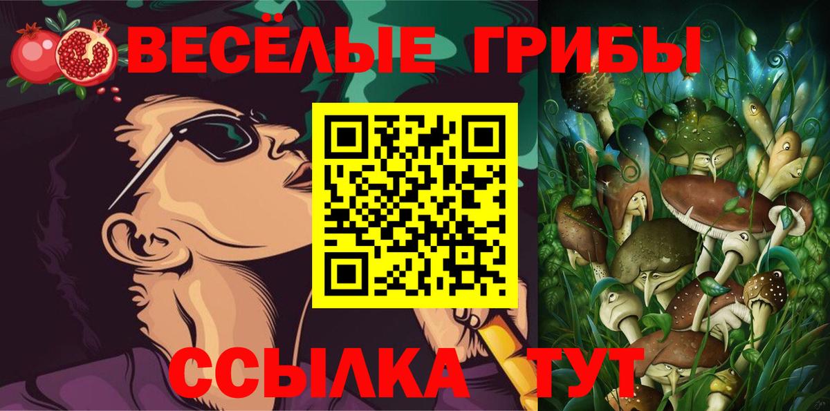 Галлюциногенные грибы Psilocybe Шахты